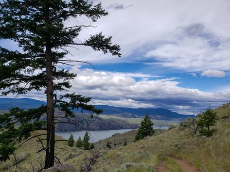 Kamloops Hike: Battle Bluffs Trail in BC, Canada Backpacking Aesthetic, City Project, Kamloops Bc, North America Travel Destinations, Hiking Photography, Camping Photography, Camping Aesthetic, Western Canada, Usa Travel Destinations