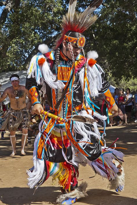 Grass Dance Regalia, Grass Dancer, Grass Dance Outfits, Indian Photos, Native American Dance, Native American Dress, Couple Halloween Costumes For Adults, Native American Regalia, American Indian History