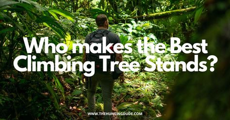 Who Makes the Best Climbing Tree Stands Climbing Tree Stands, Tree Stands, Tree Stand, Clear View, One Tree, The Tree, Climbing, Hunting, Good Things