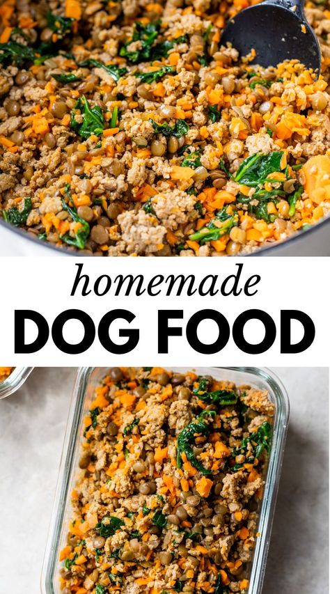 Dog Food Recipes Crockpot, Foods Dogs Can Eat, Cook Dog Food, Pet Remedies, Easy Dog Treat Recipes, Diy Dog Food, Make Dog Food, Healthy Dog Treats Homemade, Dog Foods