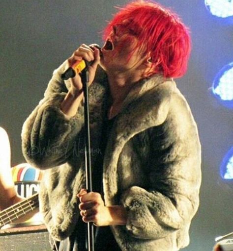 Imma use this picture when convincing my parents why I need a fur coat. Sassy Diva, Sass Queen, Gerald Way, Ray Toro, I Love Mcr, Mikey Way, Gay Romance, Frank Iero, Gerard Way