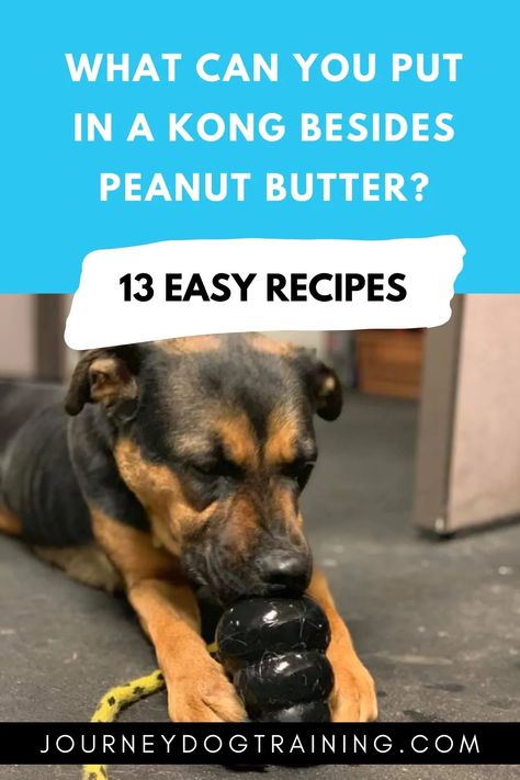 What Can You Put in a Kong Besides Peanut Butter? 13 Easy Recipes | Journey Dog Training Healthy Puppy Treats, Kong Treats, Peanut Butter Alternatives, Kong Stuffing, Recipes For Dogs, Kong Recipes, Dehydrated Dog Food, Simple Foods, Peanut Butter For Dogs