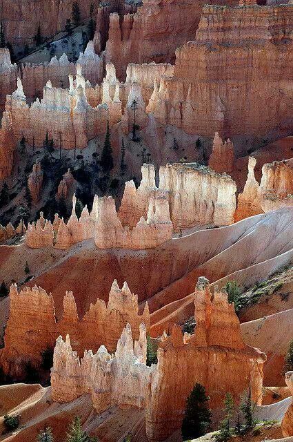 Bryce Canyon, Utah Utah Usa, Bryce Canyon National Park, Halong Bay, Have Inspiration, Bryce Canyon, Alam Yang Indah, Pretty Places, Places Around The World, Paper Collage