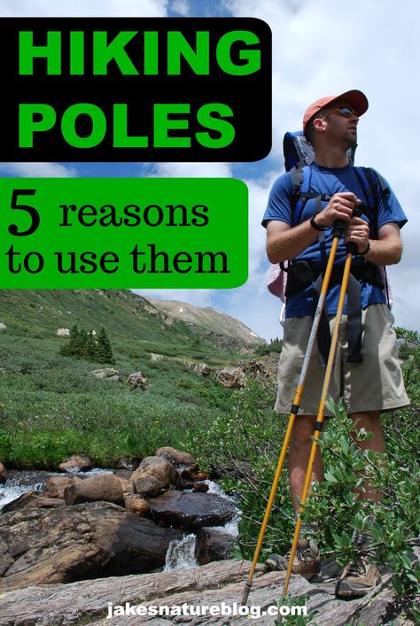 I love hiking poles and these are great reasons to show why they are good for you and your knees.  #hikingtips #hikinggear #hikingpoles Beginner Backpacking, Camping Safety, Camping Diy, Hiking Training, Hiking Poles, Hiking Essentials, Hiking With Kids, Backpacking Tips, Oregon Washington