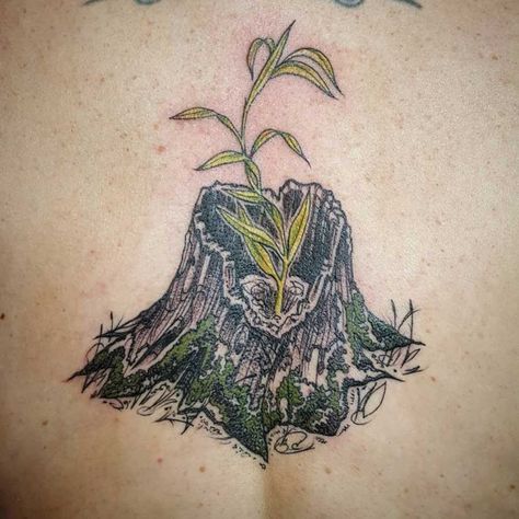 Sprouting Seed Tattoo, Tree Sprout Tattoo, Tree Sapling Tattoo, Tree Hugger Tattoo, Moss Tattoo Nature, Growing Tree Tattoo, Earth Inspired Tattoos, Regrowth Tattoo, Color Tree Tattoo