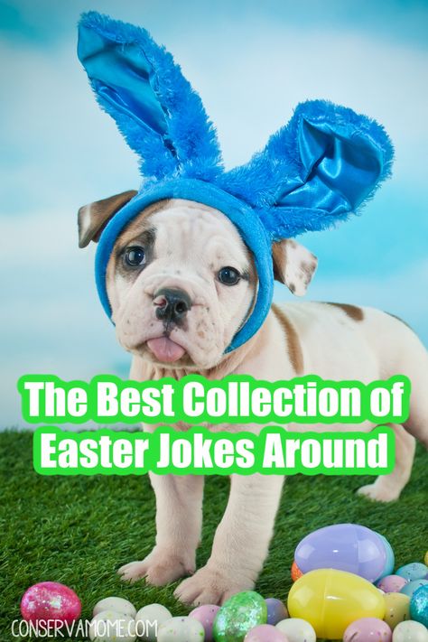 Do you like a good joke? Here's the Best collection of Easter Jokes and Riddles around. You'll find 75+ Easter Jokes that will crack you up! Perfect for sharing with kids,friends or family! Rabbit Jokes, Funny Easter Jokes, Easter Riddles, Easter Jokes, Tricky Riddles, Sock Hop, Clean Jokes, Bad Memories, Easter Humor