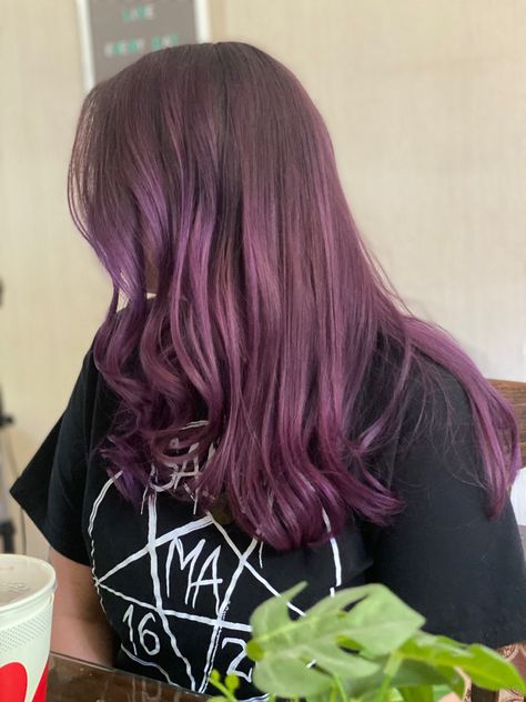 Eggplant hair Eggplant Hair, Eggplant, Hair