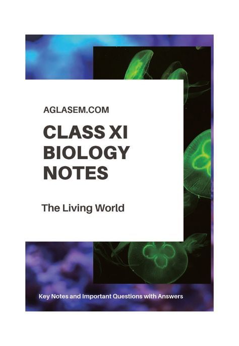 Class 11 Biology Notes for The Living World Living World Class 11 Notes, The Living World Notes Biology, Class 11 Biology Notes, Flashcards Revision, Biology Class 11, Class 11 Biology, Learn Biology, Handmade Greeting Card Designs, Study Apps