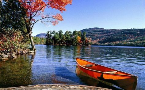 ruby lake canoe Lake George Village, Summer Vacation Spots, Lake George Ny, Romantic Cruise, Lake Living, Lake George, Lake Life, New Yorker, Vacation Spots