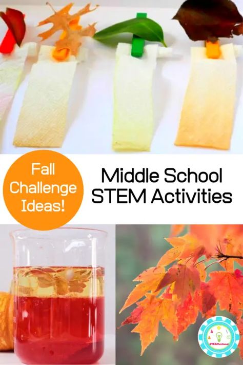 10 Hands-On Fall STEM Activities for Middle School Fall Activity For Middle School, Fall Stem Activities Middle School, Stem Projects Middle School Science, Fall Homeschool Activities Middle School, Middle School Fall Activities, Stem Activities For Middle Schoolers, Fall Crafts Middle School, Fall Activities For Middle Schoolers, Halloween Stem Activities Middle School