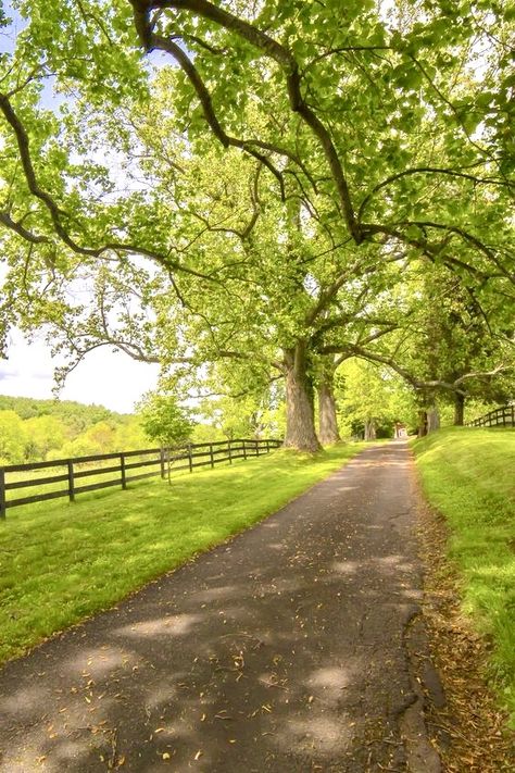 Country Side Background, Road Side Background, Real Wallpaper, 19th Century House, Road Photo, Natural Glam, Country Side, Landscape Scenery, Foto Art