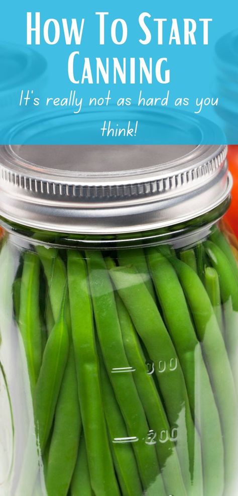 Canning is one of the coolest things I've experienced as a homesteader. Shelf stable food that doesn't take up freezer space is amazing. Canning fresh produce from the garden that I grew? Even better. But it can be daunting, especially when you start looking at pressure canning, times, tools, etc. But don't worry, in this blog post I go over everything that I know and use to get you started on this journey! Shelf Stable Food, Homesteading Goals, Homestead Tips, Pressure Canning, 2025 Vision, Canned Food, Preserving Food, Canning Recipes, Fresh Produce