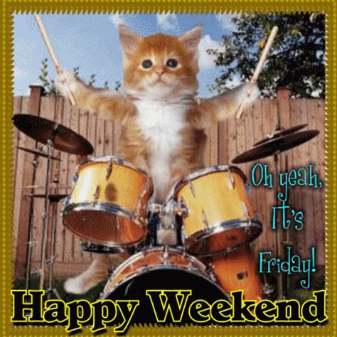 Friday Tgif GIF - Friday Tgif Happy Weekend - Discover & Share GIFs Happy Monday Gif, Happy Friday Gif, Funny Squirrel Pictures, Weekend Gif, Happy Friday Pictures, Friday Gif, Monday Cat, Happy Weekend Images, Cute Good Morning Gif