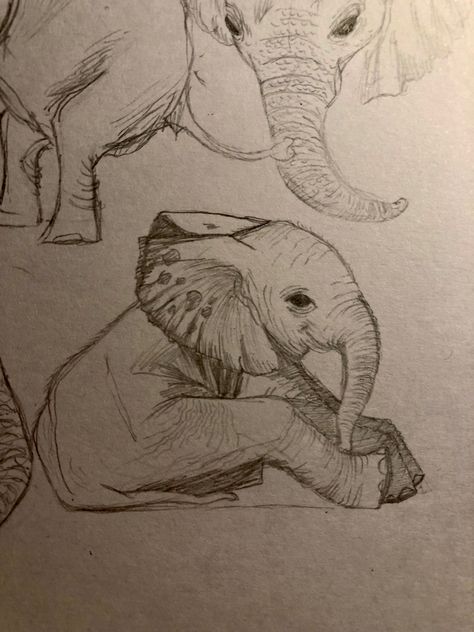 #babyelephant #baby #elephant #illustration #cute #adorable Sleeping Sketch, Elephant Aesthetic, Sleeping Elephant, Aesthetic Sketch, Elephant Illustration, Illustration Cute, School Project, Baby Elephant, Art Stuff