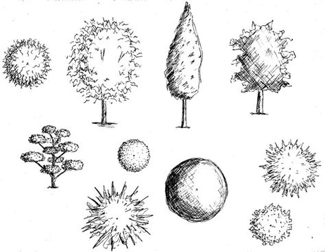 coupes et plans arbres Section Drawing, Landscape Architecture Drawing, Interior Design Drawings, Architecture Design Sketch, Landscape Design Plans, Architectural Section, Teaching Inspiration, Architecture Design Concept, Architecture Student