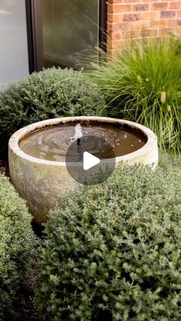 Manuka Gardens | Canberra on Instagram: "A serene oasis: We transformed an Atlantis Palm Planter pot into a gentle water feature, bringing tranquility to this garden setting. Nestled among the manicured Westringia Fruticosa balls and whimsical Pennisetum Nafray, it’s a harmonious blend of water, greenery, and peacefulness. Can you picture yourself finding solace in this tranquil sanctuary? 🌾🌊🕊️  Landscape Design, Construction & Maintenance by @manukagardens Photography by @tess.godkin.photography  Plants by @exotic_nurseries  Water Feature Pot @kellockpotsnplanters  Home by @thursday_architecture @blacketthomes   #ainslie #kellockpots #waterfeature #pennisetumnafray ##canberrahomes #westringiafruticosaballs #westringiafruticosa #designcanberra #landscapedesign #landscapeconstruction #ga Westringia Balls, Pennisetum Nafray, Westringia Fruticosa, Photography Plants, Landscape Construction, Water Feature, Atlantis, Water Features, Landscape Design