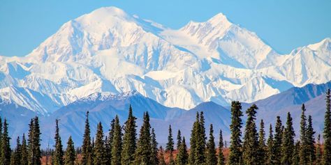 A retired boomer who visited all 50 states ranks his top picks and least favorites Monte Everest, Alaska Mountains, Denali National Park, Road Trip Fun, Beautiful Mountains, Cruise Vacation, Natural Wonders, Cool Places To Visit, Alaska