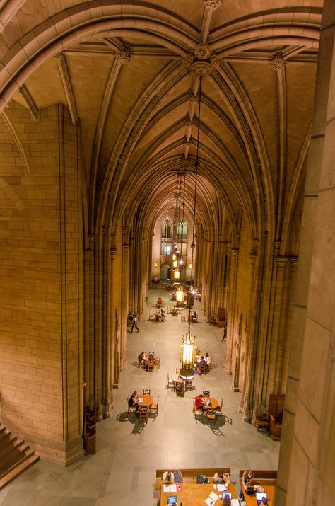 Pitt University, Cathedral Of Learning, Things To Do In Pittsburgh, Boomer Style, Visit Pittsburgh, Pennsylvania Travel, Carnegie Museum Of Art, Globe Travel, College Aesthetic