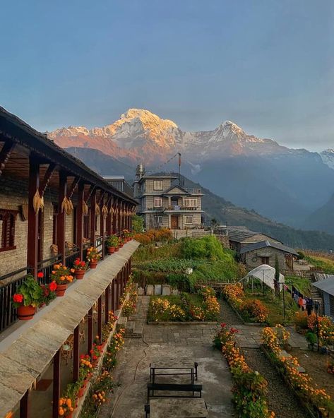 Nepal_Visuals on Instagram: “Good Morning from Ghandruk, Nepal🇳🇵❤️ 📸 Pic Credit: @shum_it  Please visit their gallery and show some INSTA LOVE!!! * 🗣 FOR FEATURES:Tag…” Nepal Places, Kathmandu Nepal Aesthetic, Beautiful Places Of Nepal, Pokhara Nepal Photography, Nepal People, Nepal Kathmandu, Travel Points, Nepal Culture, Amazing Places On Earth