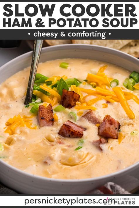 Ham Stew Recipes Crock Pot, Slow Cooker Cheesy Ham And Potato Soup, Crock Pot Ham And Potatoes Soup, Ham Hock Potato Soup Crock Pot, Cheesy Ham And Potato Chowder, Ham Potato Cheese Soup Crock Pot, Easiest Crockpot Soup, Cheesy Potato Soup With Ham, Ham And Cheese Soup Crockpot