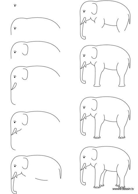 Trin For Trin Tegning, Elephant Drawing, Basic Drawing, Canvas Ideas, Elephant Art, Pencil Art Drawings, An Elephant, Art Drawings For Kids, Drawing Lessons