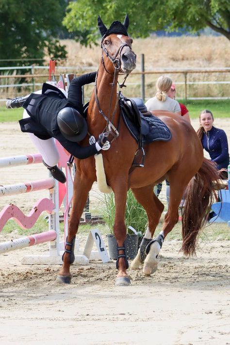 Horse Riding Fails, Horse Falls, Horse Fails, Noriker Horse, Equestrian Aesthetic, Horse Games, Horse Camp, Palomino Horse, Horse Aesthetic