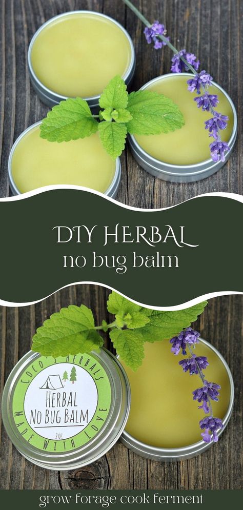 Homemade Salve, Herbal Remedies Recipes, Salve Recipes, Herbal Salves, Herbs And Flowers, Herbal Recipes, Natural Healing Remedies, Herbal Healing, Diy Remedies