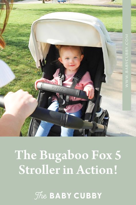 Video: The Bugaboo Fox 5 Modular Stroller in Action! Bugaboo Fox 5, Bugaboo Fox 3, Cubbies, Stroller, Fox, Parenting, Models, Design