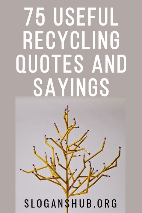 In this post you will find 75 Useful Recycling Quotes And Sayings. #Quotes #Sayings #Recycling #RecyclingQuotes Quotes About Recycling, Funny Recycling Quotes, Quotes On Recycling, Recycle Quotes Environment, Upcycling Quotes, Reuse Quotes, Upcycle Quotes, Junking Quotes, Recycling Quotes