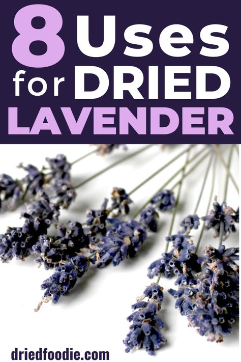 Dried Lavender Uses, Lavender Plant Uses, Apothecary Supplies, Lavender Business, Lavender Growing, Lavender Care, Lavender Potpourri, Lavender Uses, Lavender Crafts