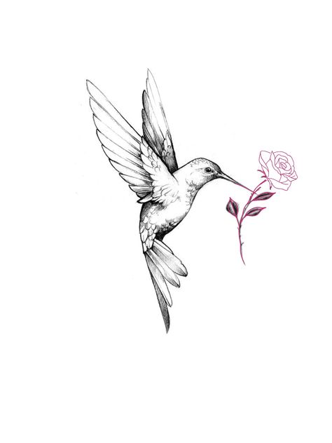 Humming Bird And Rose Tattoo, Hummingbird Tattoo With Rose, Hummingbird With Rose Tattoo, Hummingbird Rose Tattoo, Hummingbird And Rose Tattoo, Hummingbird Tattoo Black, Bluebonnet Tattoo, Hummingbird Flower Tattoos, Girl Spine Tattoos