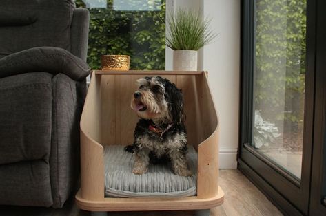 Top 10 pet products that promise a happy pet life Side Table Pet Bed, Night Stand Pet Bed, Side Table Dog House, End Table Dog Bed Modern, Cat Side, Modern Pet Furniture, Pet Event, Amazon Reviews, Cat Tower