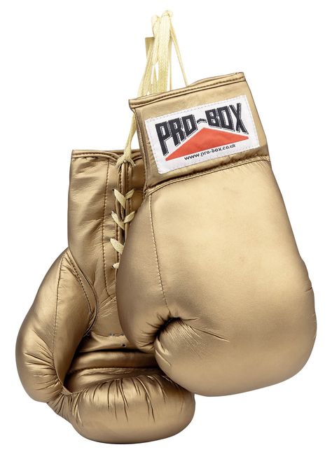 gold boxing gloves -- can buy these and cover label in black Gold Boxing Gloves, Boxer Aesthetic, Boxing Gear, Box Bags, Gold Gloves, Boxing Bags, Mma Boxing, Charity Auction, Mini Canvas Art