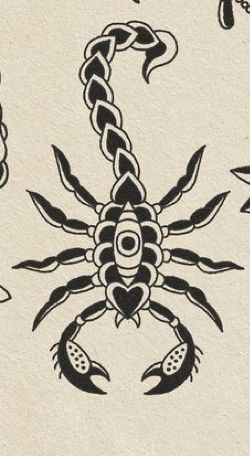 How To Draw Scorpion Step By Step, American Traditional Sun Tattoo Black, Scorpion Trad Tattoo, Small Traditional Snake Tattoo, Nine Lives Tattoo, Spine Tattoos Traditional, Capricorn Traditional Tattoo, Scorpion American Traditional Tattoo, Trad Scorpion Tattoo