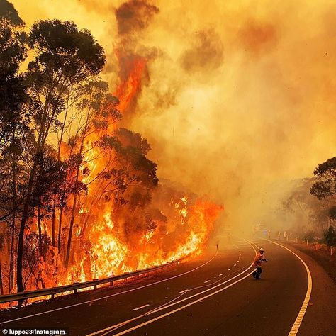 Drought Aesthetic, Wildfire Photography, Australia Bushfire, Australian Bushfires, Bush Fire, Burning Bush Painting, The Burning Bush Art, Bushfires In Australia, Australia Forest Fire