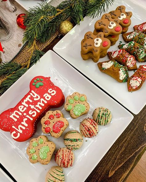 Animal Treats, Christmas Dog Treats, Dog Christmas Card, Dog Treats Homemade Recipes, Dog Business, Dog Bakery, Dog Ideas, Dog Cookies, Christmas Cookies Decorated