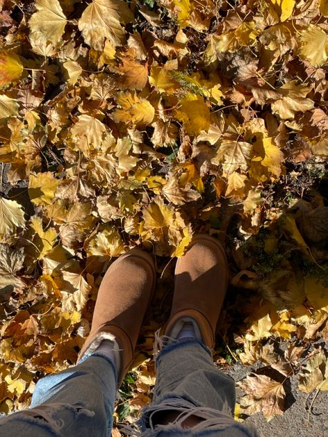 uggs (!!) Seasons Photography, Ugg Style, Autumn Photography, Autumn Day, Still Life Photography, Ugg Boots, Hiking Boots, Nature Photography, Halloween