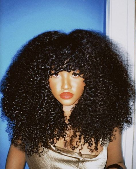 Wig Room, Male Editorial, Highlights Curly Hair, Y2k Hairstyles, Big Curly Hair, Beautiful Natural Hair, Dyed Natural Hair, Beautiful Curly Hair, Curly Hair Styles Easy