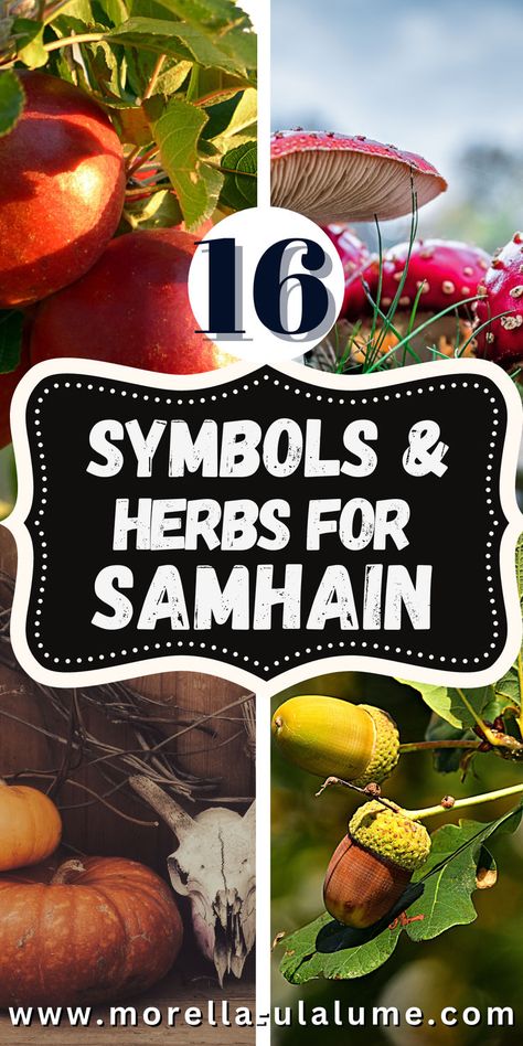 Discover the best 16 herbs, trees, and fruits used for Samhain celebrations! 🌿🍂 Dive into the rich traditions of Samhain Halloween with these powerful herbs for Samhain rituals, altar setups, and decorations. Explore the pagan Samhain symbols and blessings that make this season so special. Click to learn how to incorporate these natural elements into your Samhain celebrations and connect deeper with this ancient festival. Samhain Symbols, Pagan Samhain, Samhain Celebration, Samhain Recipes, Samhain Decorations, Samhain Traditions, Samhain Altar, Blessed Samhain, Samhain Ritual