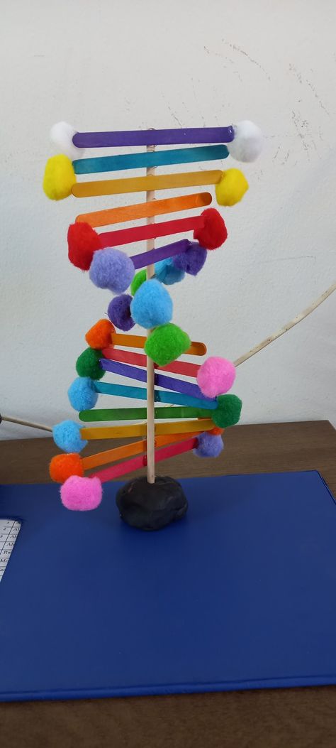 Homemade Dna Model, Genetics Project Ideas, Creative Dna Model Project, Dna Models Projects, Dna Strand Project, Easy Dna Model Project, Dna School Project, Dna Molecule Project, How To Make Dna Model