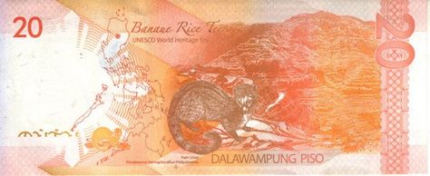 Philippine Pesos Money, Philippine Money, Philippine Peso, Dora And Friends, Reading Comprehension Kindergarten, Education Poster Design, Money Collection, Dragon Ball Painting, Play Money