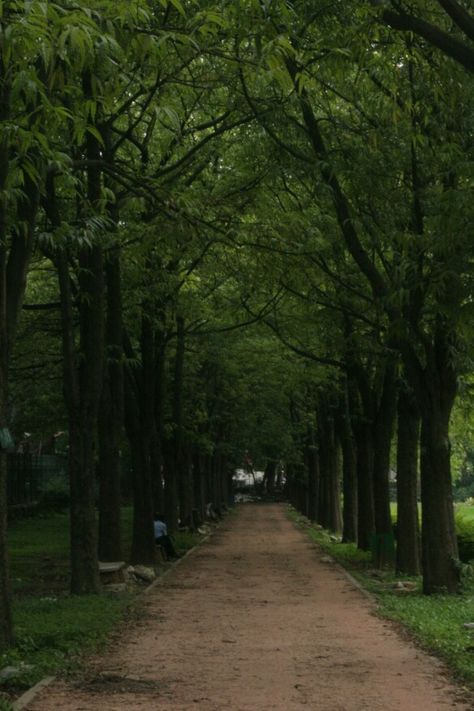 Love the greenery..cubbon park Cubbon Park Bangalore Aesthetic, Cubbon Park Bangalore, Bangalore Aesthetic, Cubbon Park, Bangalore City, Sky Aesthetic, Bangalore, Places Ive Been, Country Roads