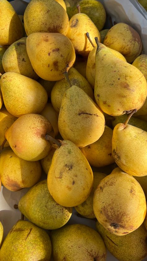 Pears Aesthetic, Pear Aesthetic, Pear Photography, Pear Brandy, Low Glycemic Foods, Fruits Photos, Fruit Photography, Small Farm, Wedding Mood Board