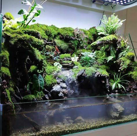 Paludarium Ideas Waterfalls, Dinosaur Aquarium, Aqua Terrarium, Paludarium Ideas, Fish Ponds Backyard, Green Wall Garden, Paludarium Vivarium, Vivarium Ideas, Water Terrarium