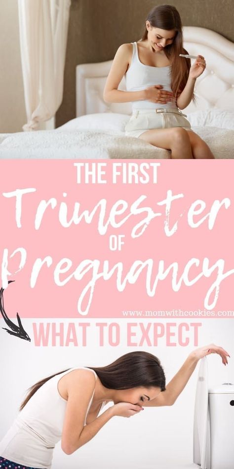 What to expect during the first trimester. #miscarriageimages Weekly Pregnancy Photos, First Trimester Workout, Hiding Pregnancy, First Trimester Pregnancy, First Trimester Tips, Stages Of Pregnancy, Pregnancy Safe Workouts, Pregnancy First Trimester, Pregnancy Bump