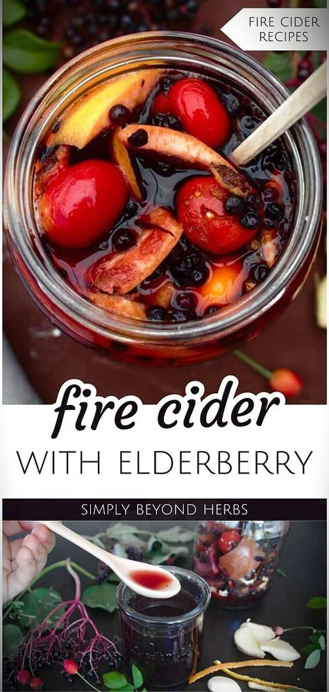 Discover the fire cider recipe with elderberry, one of the best fire cider recipes. This herbal tonic recipe, rich in antioxidants, minerals, and vitamin C, offers a way to boost immunity during wonter. Its unique mix of honey, vinegar, and elderberry creates a pleasing sweet and sour flavor. Ingredients like raw honey, apple cider vinegar, ginger, and garlic add to its healthful properties. Find more fire cider benefits, natural herbs medicine, and herbs for health at simplybeyondherbs.com Fresh Elderberry Recipes, Cranberry Fire Cider, Medicinal Honey Recipes, Elderberries Recipes, Electuary Recipes, Herbal Infusions Recipes, Elderberry Elixir Recipe, Elderberry Lemonade Recipe, Fire Cider Gummies