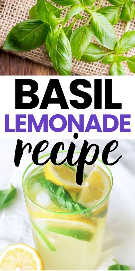 Basil lemonade in a glass with lemon slices and basil leaves. What To Do With Basil From Garden, Things To Make With Basil, What To Do With Basil, Recipes With Basil, Basil Lemonade Recipe, Lemon Shake Up, Basil Drinks, Vegan Christmas Desserts, Vegan Thanksgiving Dessert