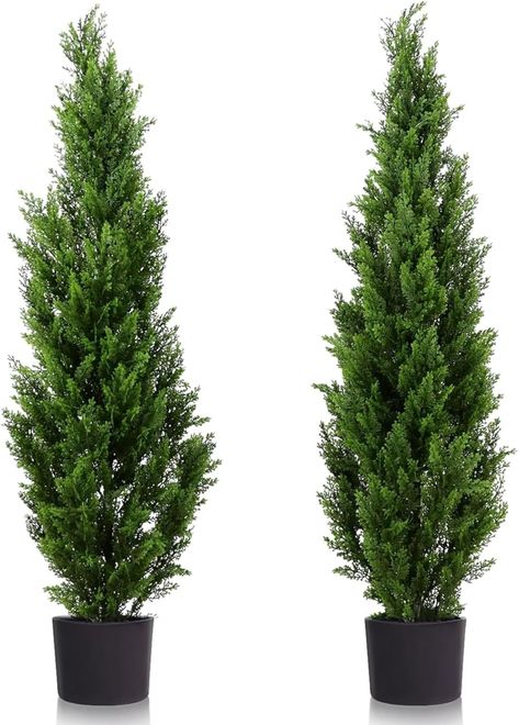 Cedar Topiary, Pruning Plants, Plant Maintenance, Artificial Topiary, Outdoor Trees, Topiary Trees, Cedar Trees, Artificial Trees, Outside Living