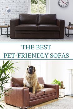 A guide to the best Pet Friendly Living Room, Dog Friendly Furniture, Winter Living Room Decor, Winter Living Room, Bedroom Design Trends, Luxury Sofa Design, Cool Couches, Living Room Decor Inspiration, Sofa Fabric