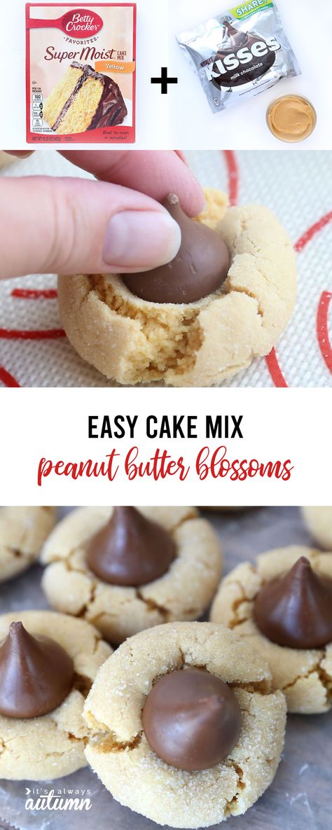 Christmas Cookie Plates, Easy Peanut Butter Cookies, Cookie Recipes Unique, Cake Recipes Easy Homemade, Cake Mix Cookie Recipes, Peanut Butter Blossoms, Dessert Simple, Easy Cheesecake Recipes, Chocolate Cookie Recipes